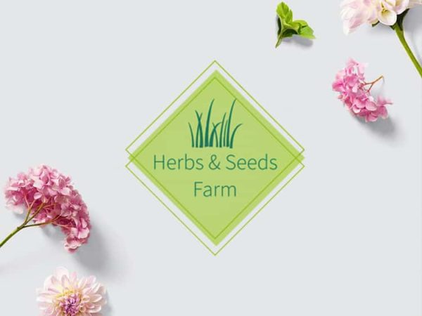 HS Farm - Projekt logotypu - Firma rolnicza